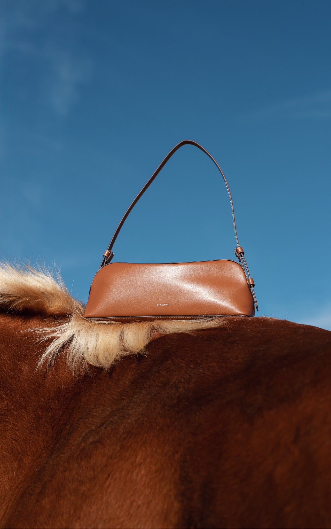 Brown leather handbag on a horse against a blue sky